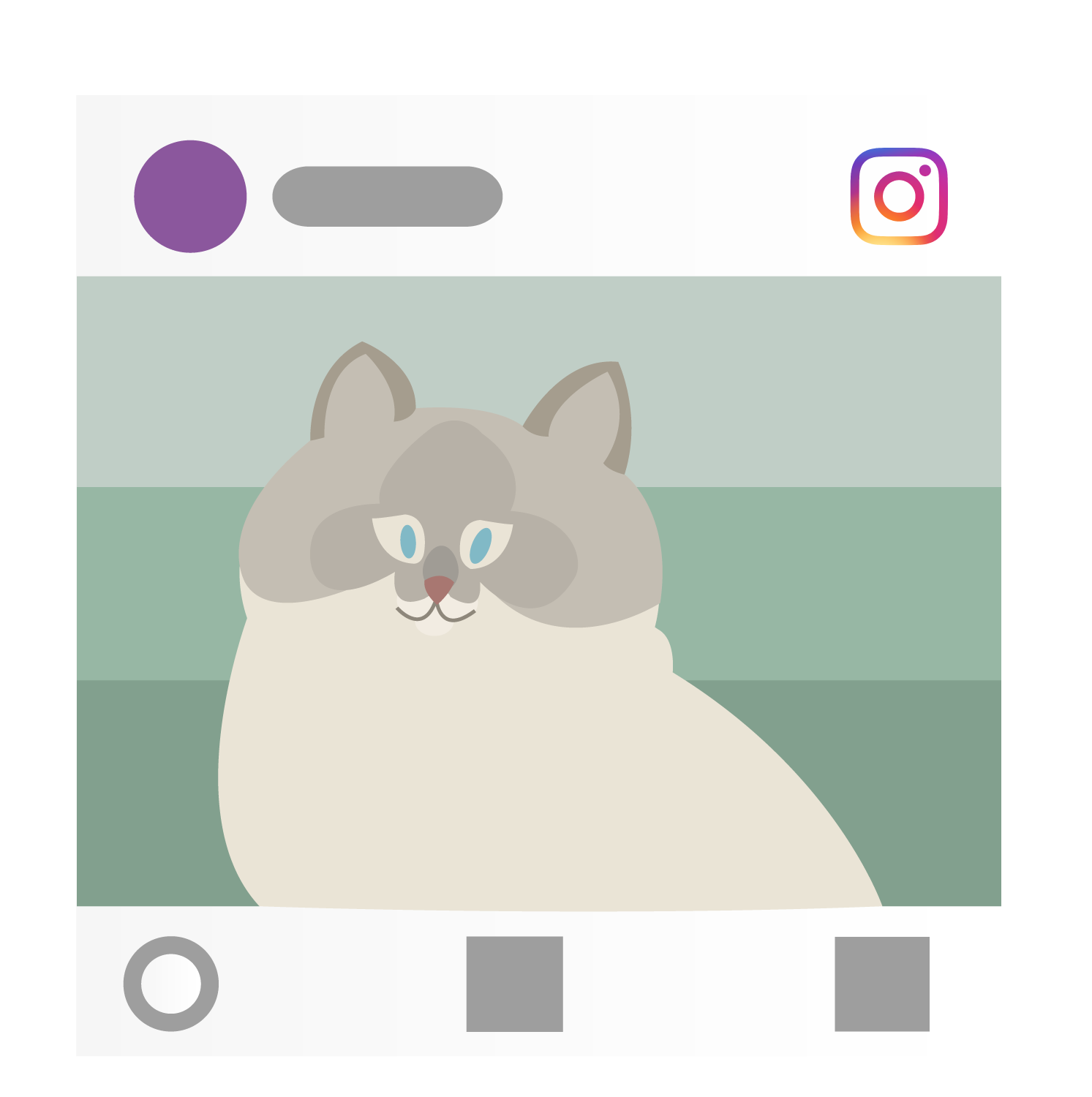Puff the magic ragdoll